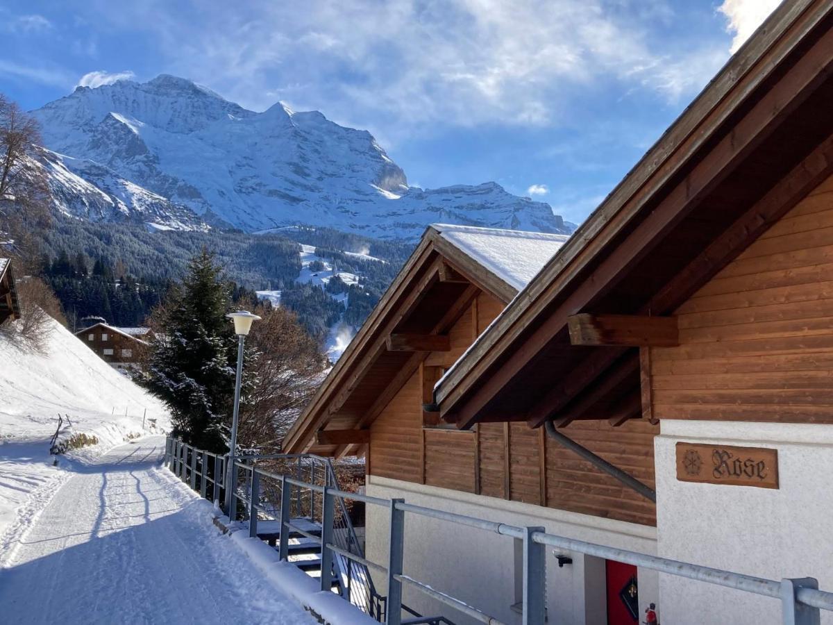 Apartment Rose Studio Y By Interhome Wengen Eksteriør billede